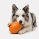 Brinquedo BolaFujona™ Maluca para Cães