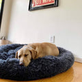 Cama Calmante para Cães
