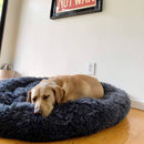 Cama Calmante para Cães