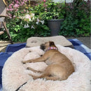 Cama Calmante para Cães