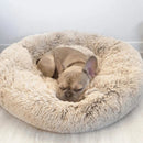 Cama Calmante para Cães