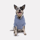Roupa para Cachorro Blusão Sampa Azul